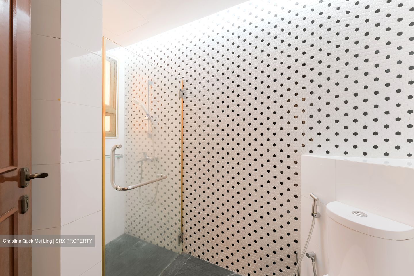 Villa Marina (D15), Condominium #570608511